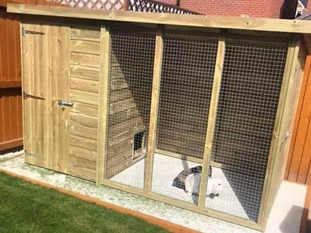 dog-kennels-outdoor-store-3-kireth-ai